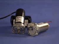 Custom DC Gear Motor